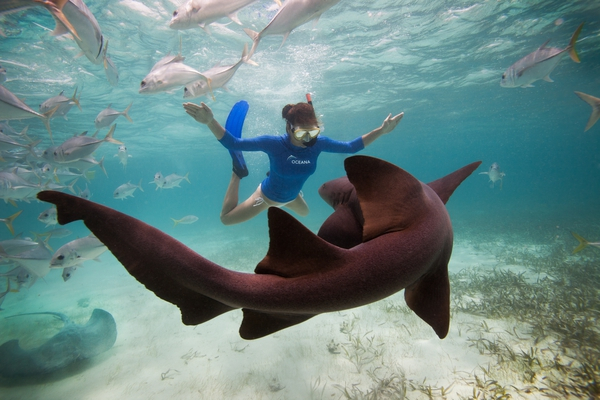 Snorkeling fins