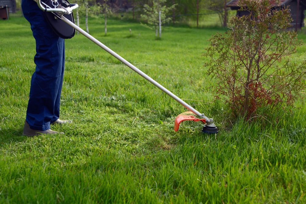 How to choose a grass trimmer