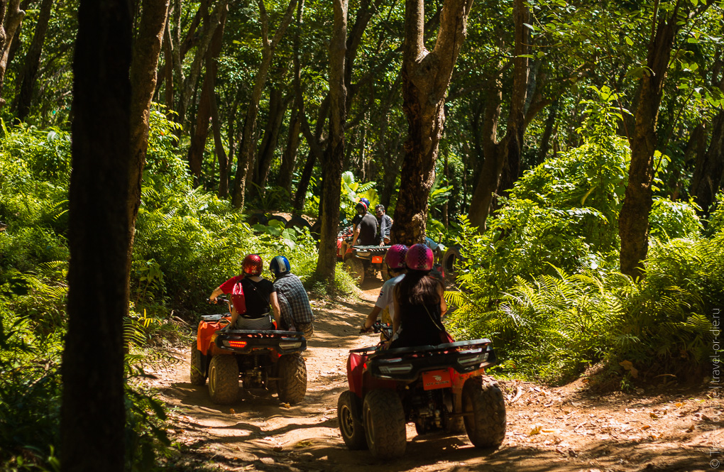 ATV ATVs