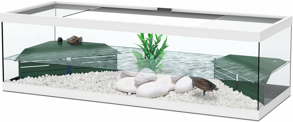 Aquatlantis TORTUM for turtles