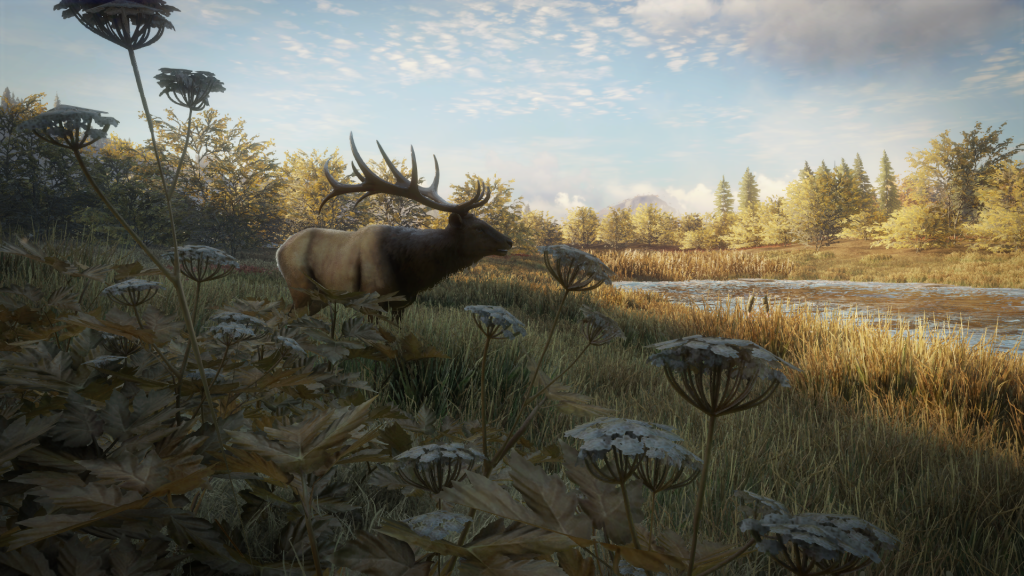 theHunter Call of the Wild