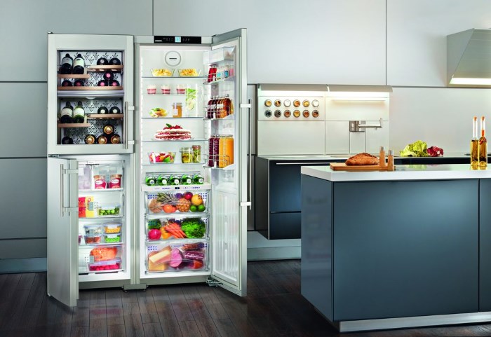 Two-door refrigerators (side-by-side)