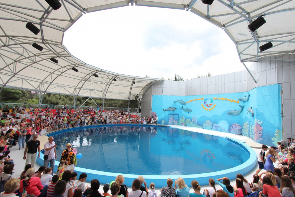 Dolphinarium Watercolor Alushta