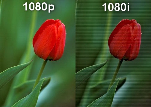 format comparison