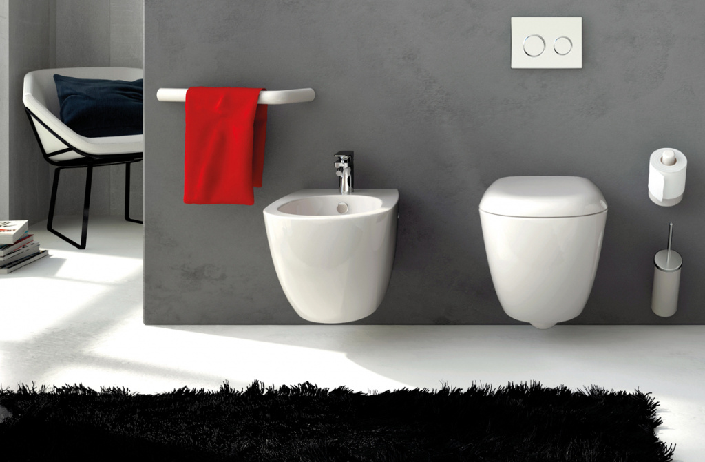 Types of toilet bowls