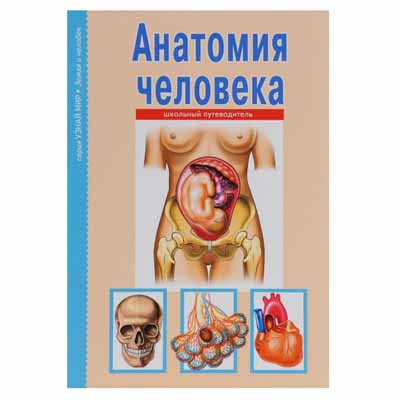 AFONKIN, ANATOMIA LUDZKA, PRZEWODNIK SZKOLNY