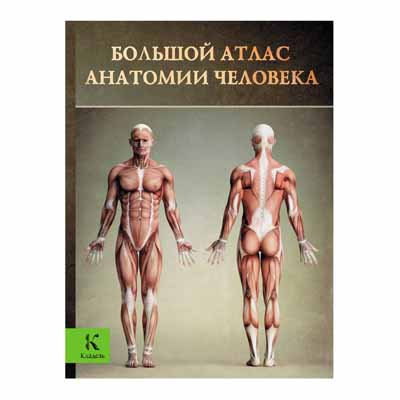 GREAT ATLAS OF HUMAN ANATOMY, VINSE PERES