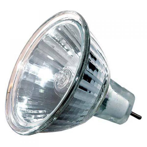 Halogen bulbs