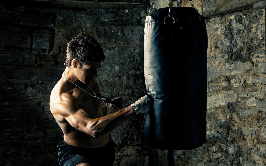 How to choose a punch bag