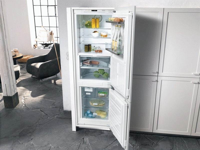 How to choose a built-in refrigerator