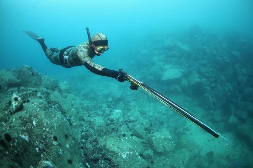 Flippers for underwater hunting