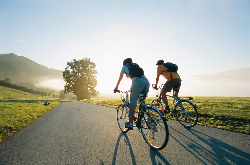 choose a bike for your tasks