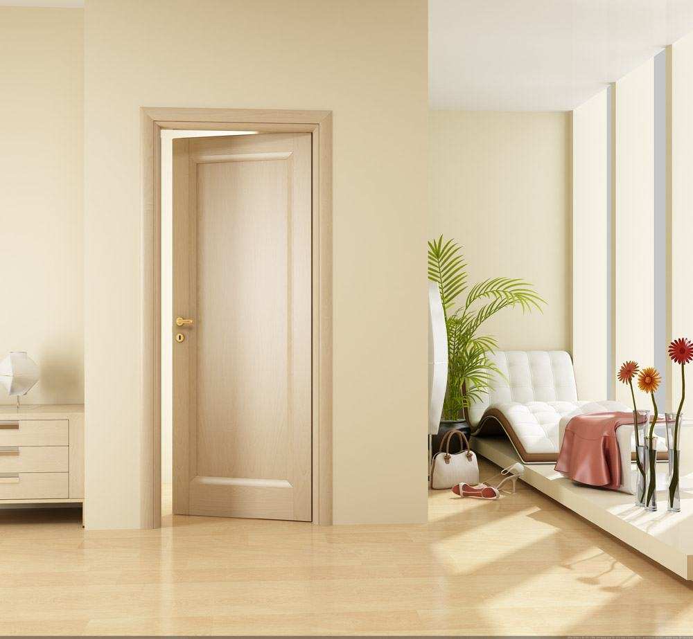 interior doors in the apartment