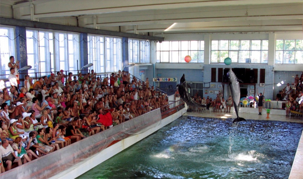 Karadag Dolphinarium