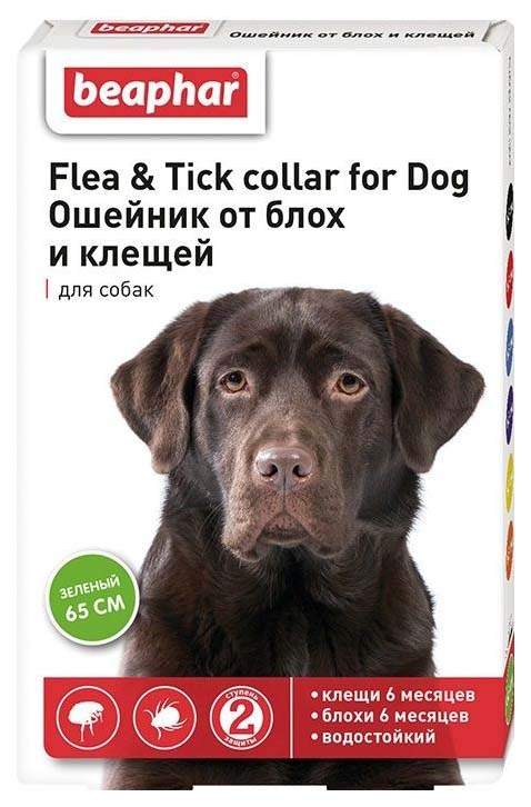 BEAPHAR FOR DOGS 65 CENTIMETERS