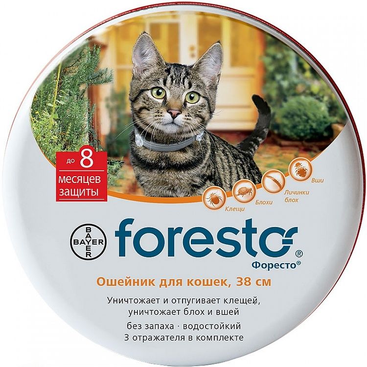 Foresto (Bayer) for cats 38 cm