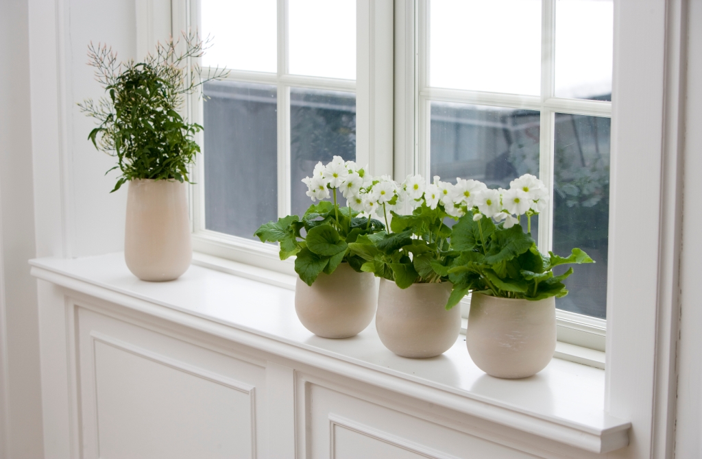 How to choose a windowsill