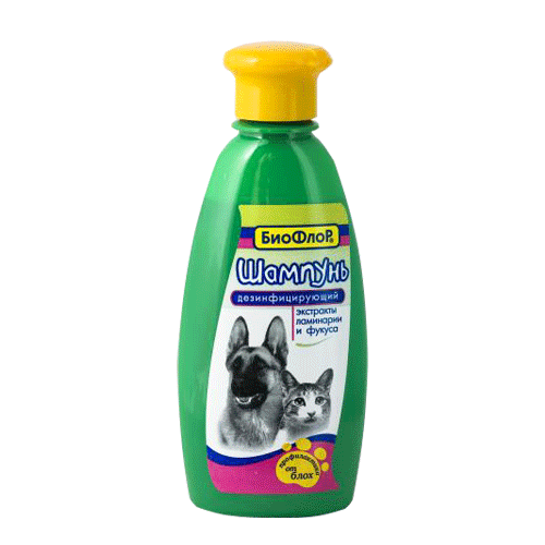 Disinfectant bioflor