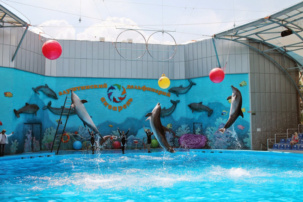 Alushta Dolphinarium