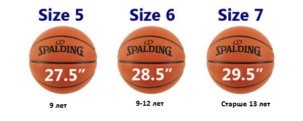 Basketball Sizes