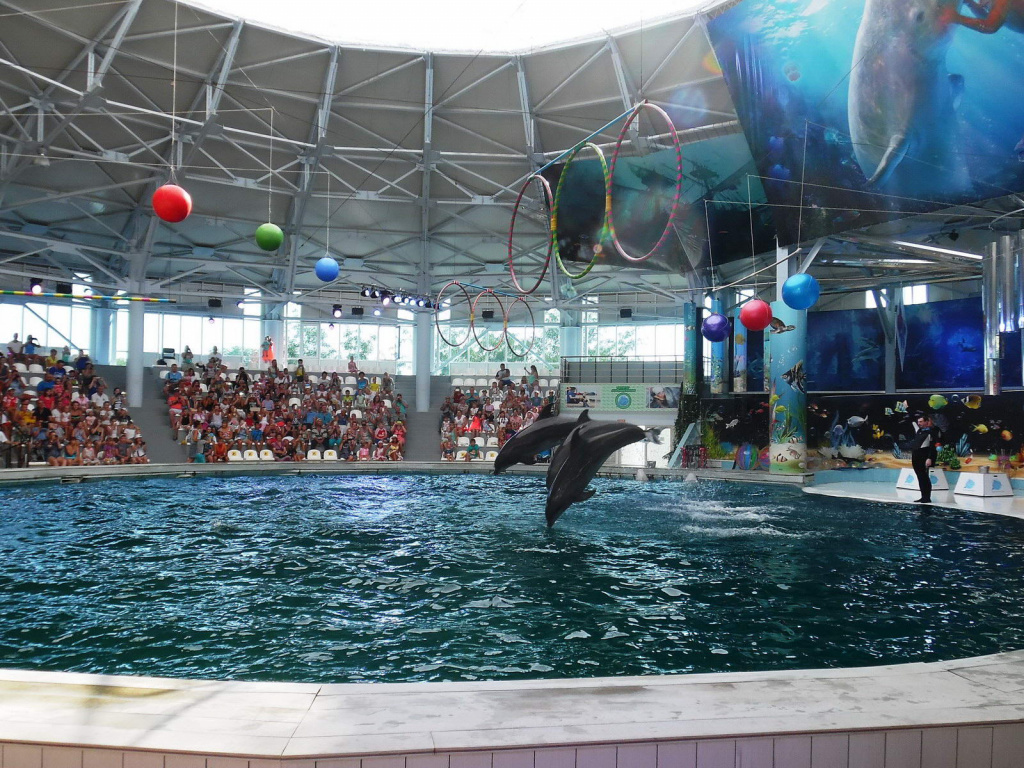 Eupator Dolphinarium