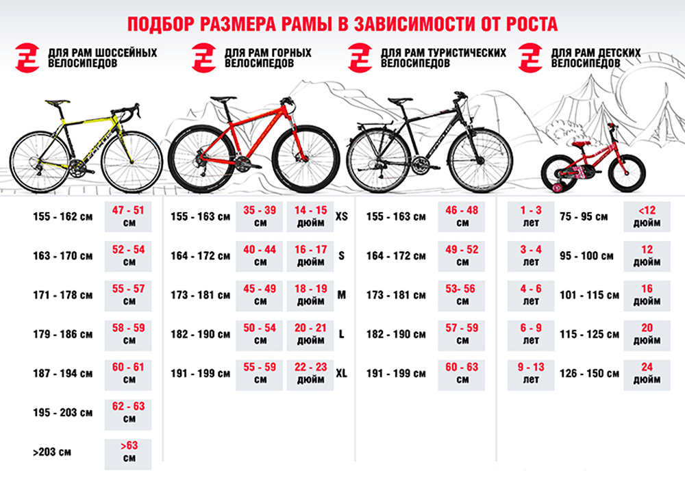 bike sizing chart