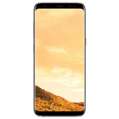 Samsung Galaxy S8 + 128GB