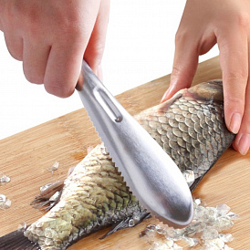 6 best fish scalers