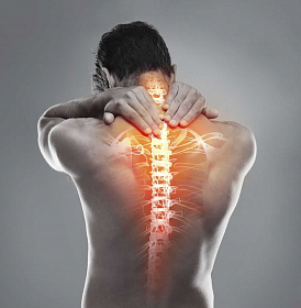 8 best back pain pills