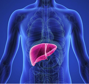 8 best drugs to restore the liver