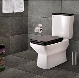 11 best floor toilets with cistern