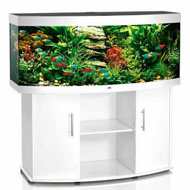 How to choose an aquarium