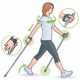 How to choose Nordic walking sticks