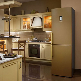 7 best refrigerators BEKO