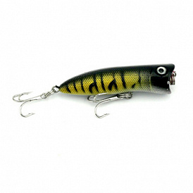 Rating of the best wobblers for catfish