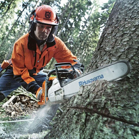 6 best oils for chainsaws