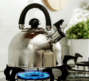 9 best kettles for the gas stove