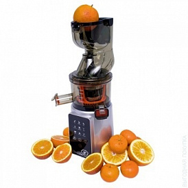 10 best screw juicers