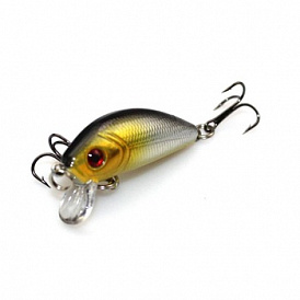 13 best baits perch