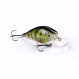 7 best wobblers perch