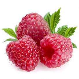 15 best raspberry varieties