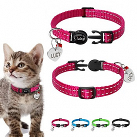 8 best cat collars