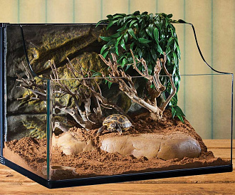 7 best terrariums