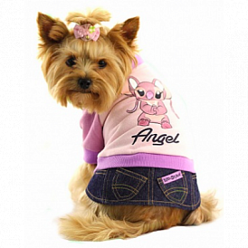 7 best brands of clothes for dogs with AliExpress