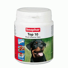 18 best vitamins for dogs