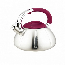 How to choose a kettle for stove