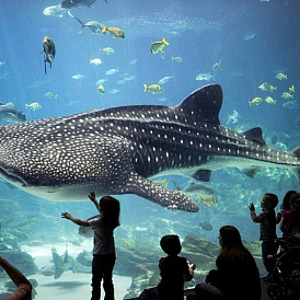 4 best aquarium Moscow