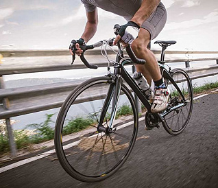 12 best online bicycle stores