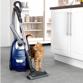 11 best vacuum cleaners for cleaning wool