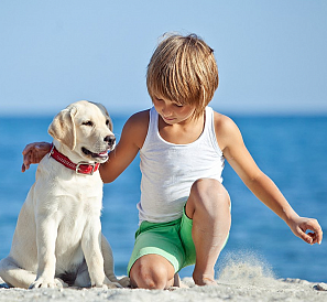 15 best dog breeds for children